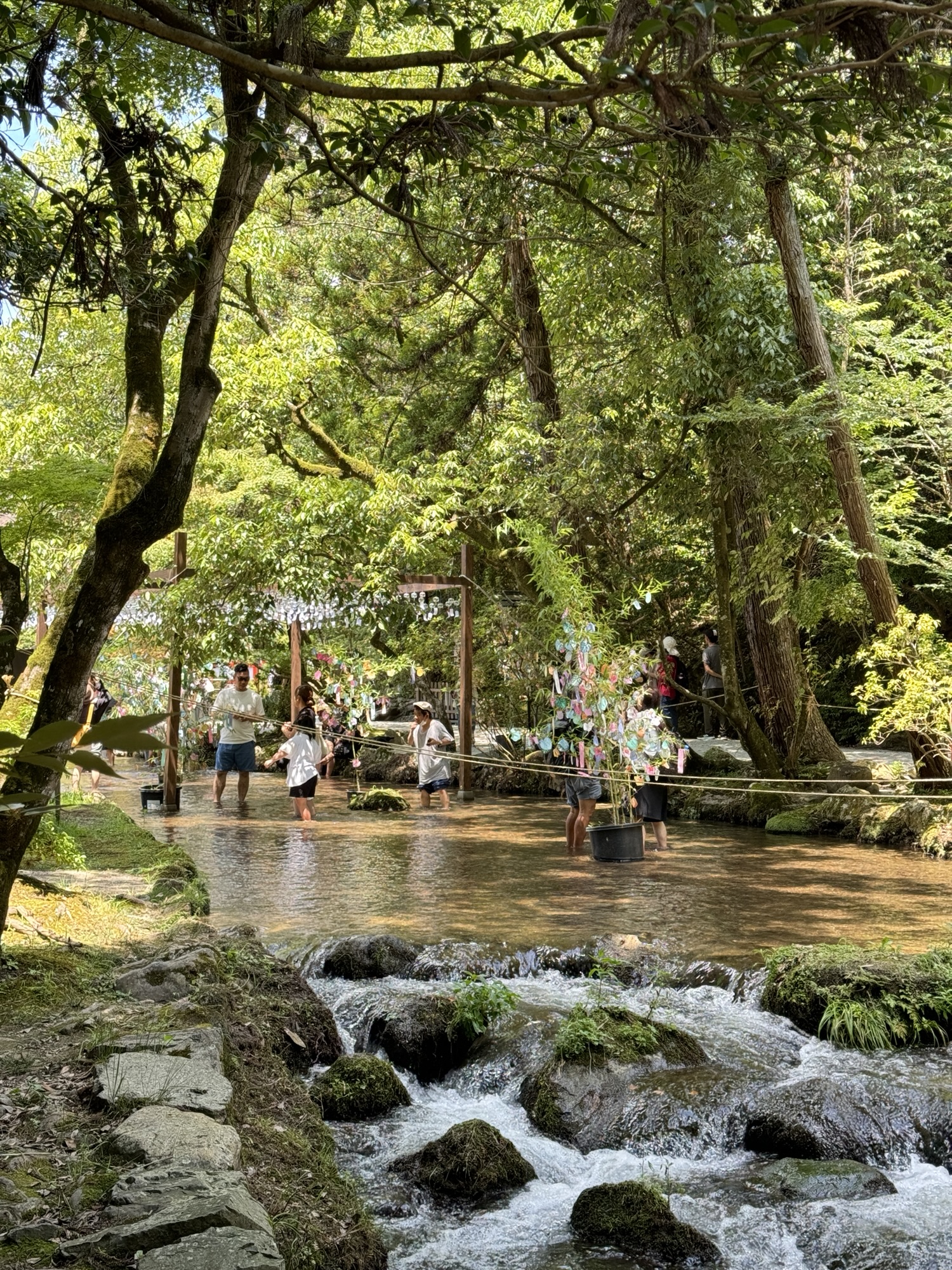 上賀茂神社・境内の清流